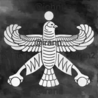 Telegram: Contact @irann Telegram Group Link