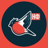 Молодёжка Народного Фронта - Вологодская область