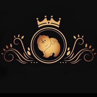 Продаж собак та котиків ,,DOG SALES’’
