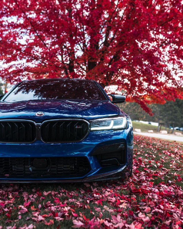 https://t.me/bmw_mpower_club