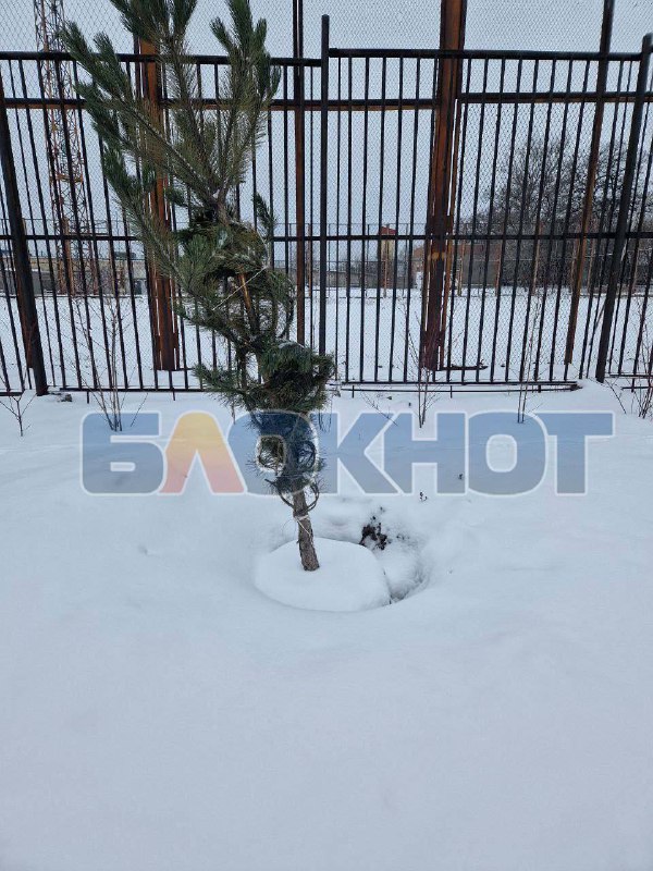 Изображение 6