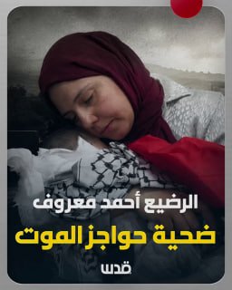 רשת חדשות ירושלים