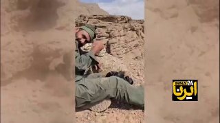 סצנות שצולמו במצלמת האבטחה מנסיגה של נמרי פירוזקו