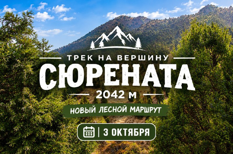 Фото тура В субботу ожидаются самые теплые выходные октября, ☀️ + 23 🤩 🤩 🤩 🤩 🤩 🤩 🤩 🤩 🤩 🤩 🤩 3 октября
