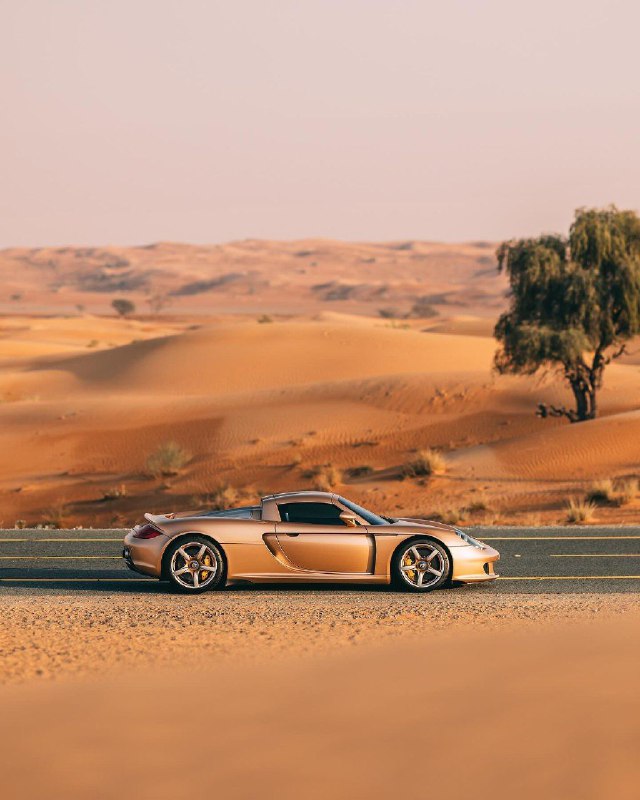 Porsche Carrera GT 8