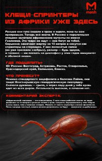 Новые африканские клещи расплодились по всей России. Они не просто ждут свою жертву в кустах и на деревьях. Они за ней гонятся.Краткая инструкция о том, как выжить этой весной от Mash.Удачи.❗️ Не грузятся фото и видео? Читайте нас в MAX.