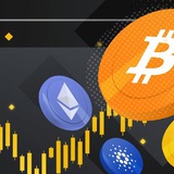 BNB CALL