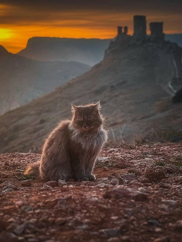 Весенние закатные краски в Балаклаве ❤️ ﻿﻿﻿﻿﻿﻿﻿﻿﻿﻿﻿﻿﻿﻿﻿﻿﻿﻿﻿﻿﻿﻿﻿﻿﻿﻿﻿﻿﻿﻿﻿﻿﻿﻿﻿﻿﻿﻿﻿﻿﻿﻿﻿﻿﻿﻿﻿﻿﻿… — Алуштинское ТурБюро