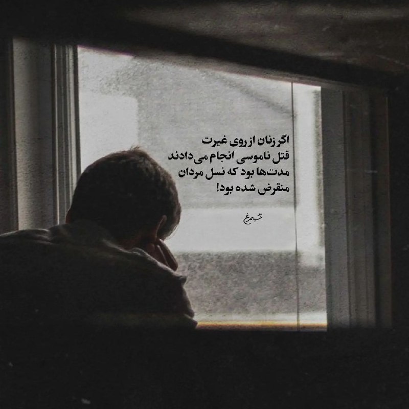 Profile Special: رسانه پست