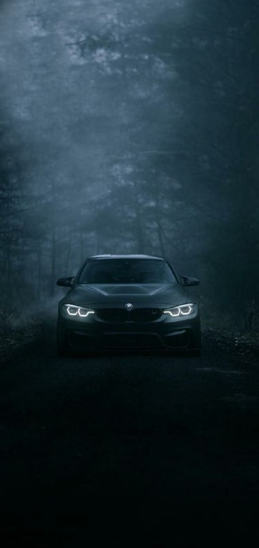 https://t.me/bmw_mpower_club