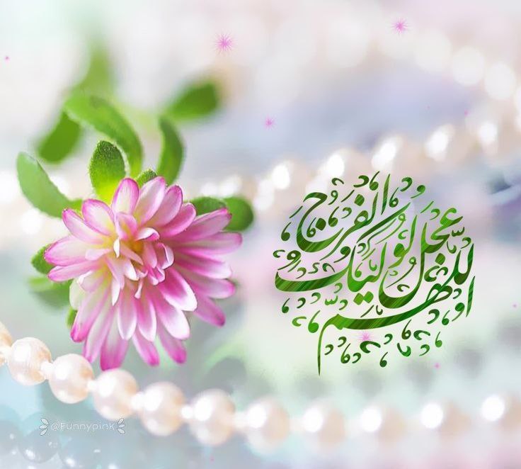 ❤️ حریم عشق ❤: 🌸امروز آغاز فصل 💚شکوفایی امید است🌸آغاز امامت منجی بشریت💚حضرت صاحبالزمان (عج) مبارک باد