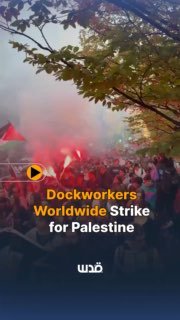 עובדי רציף ברחבי העולם ציינו את יום הפעולה הבינלאומי השני של עובדי הרציף בשביתה בסולידריות עם פלסטין ונגד מ…