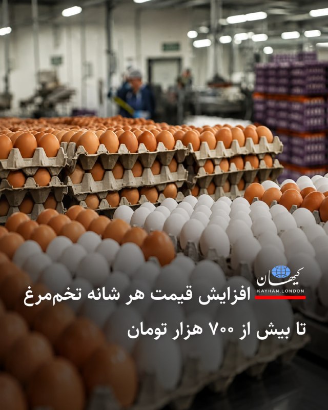 Kayhan.London.Channel کیهان لندن: ‌‌‏ ‌‏ ‏افزایش قیمت هر شانه تخم‌مرغ تا بیش از ۷۰۰ هزار تومان خبرگزاری «ایسنا» بر اساس گزارشی میدانی اعلام کرده هر شانه ت