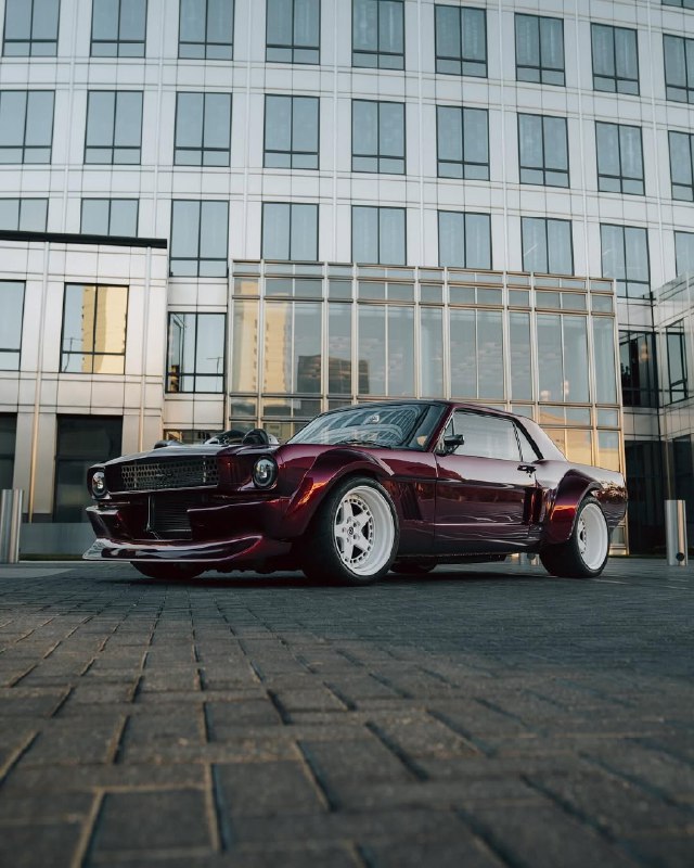 Ford Mustang 6