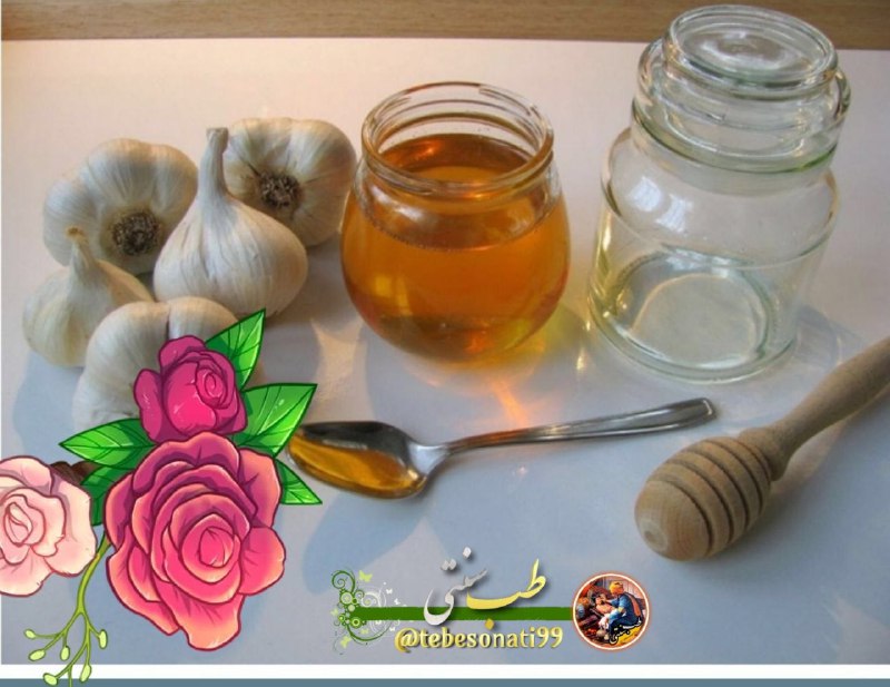 🍏طب سنتی🍏: 🍯مخلوط عسل و سیر باعث میشود شخص در1ماه 5کیلو وزن کم کندبرای تهیه این معجون،1حبه سیررا له کرده و در فنجان آب داغ قرار داد