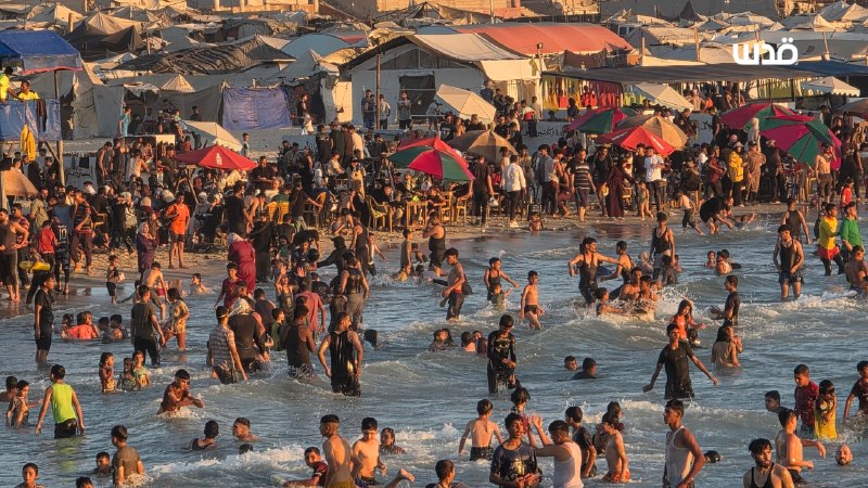 עזה: פלסטינים עקורים מוצאים מפלט זמני על חוף הים