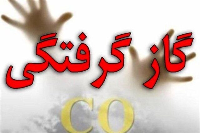 اخبار و حوادث کرمانشاه: 🔴 8 قربانی مونوکسیدکربن در کرمانشاه♦️در چهار ماه نخست امسال، هشت نفر در استان کرمانشاه بر اثر مسمومیت با گاز مونوکسیدکرب