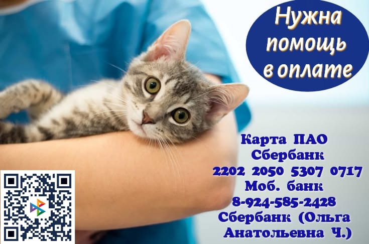 Дорогие друзья, мы вновь обращаемся к вам за помощью.
У...