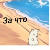 Котик запрещённый на территории российской федерации