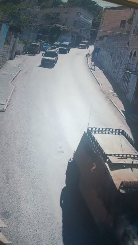 פטמיה עכשיו..