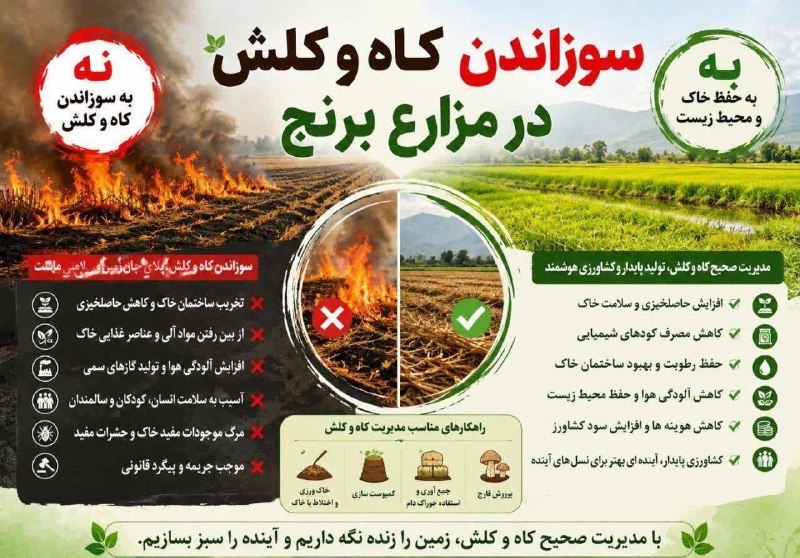 𓄂ꪴꪰدفراز'استخرگاه'پلنگدرّه️𓆃: نهبه سوزاندن کاه و کلش🌿بهبه حفظ خاک و محیط زیست@Dafraziha