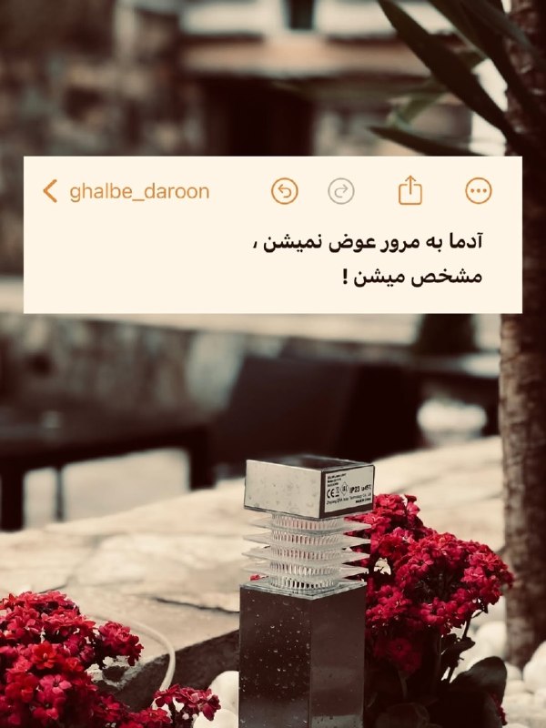 ژلوفن | gelofen: مشخص میشن 🤌🏼@gelofen | ژلـــوفـن