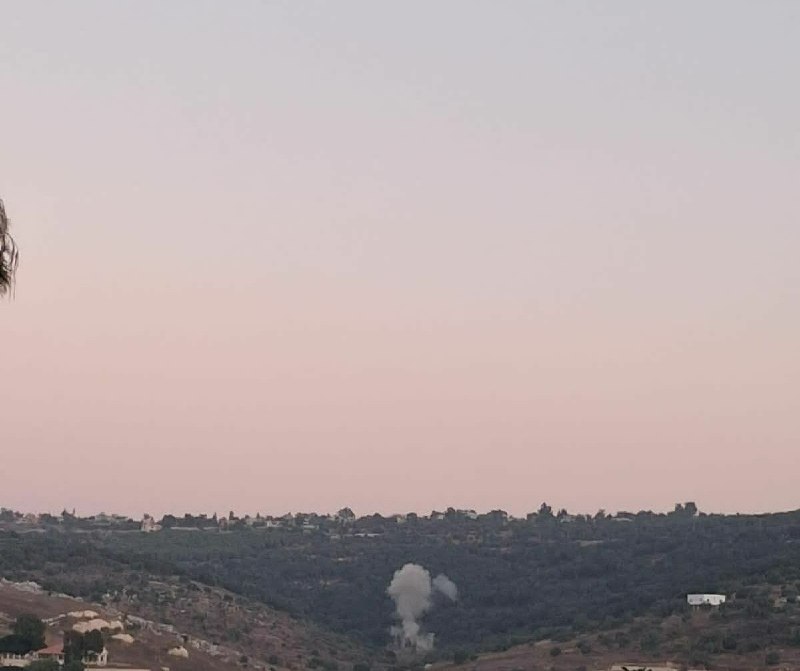 מזל"ט הפיל חומרי נפץ על יער איתא אל-ג'בל