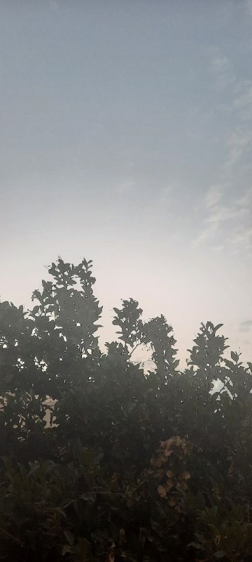 تنها صداست که می ماند: ای دوست، ای برادر، ای همخونوقتی به ماه رسیدیتاریخ قتل عام گلها را بنویس...#فروغ_فرخزاد#مهسا_امینی #آرمیتا_گراوند#الهه_حس