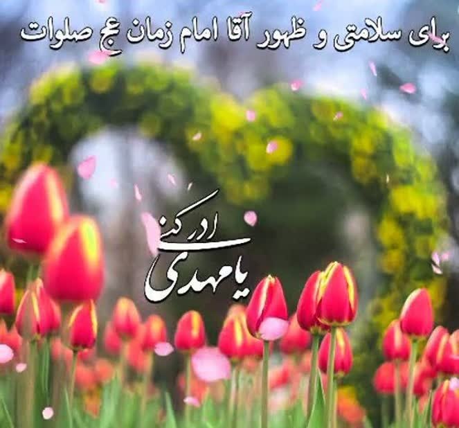 🌹شـــیـخ نخـــودکی اصفهـــانی🌹: 🌿🌺سلام امام زمانم🌿🌺 🌱عزیـزِ فاطِـمـه تا کِـی به هَـر دَری بِـزَنَــم؟بیا بیا که دِگَـر دَر به دَر شُـدَن کافـیست...🌱تو ر
