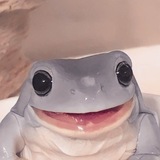 Совсем ку-ку 𓆏