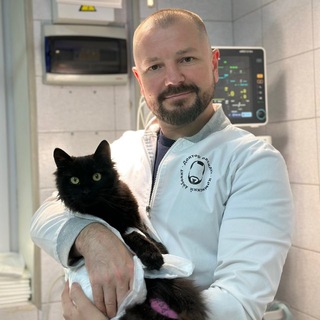 Telegram profile photo for Доктор Василий-Крымский Айболит