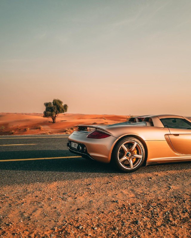 Porsche Carrera GT 2