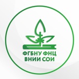 ВНИИ сои