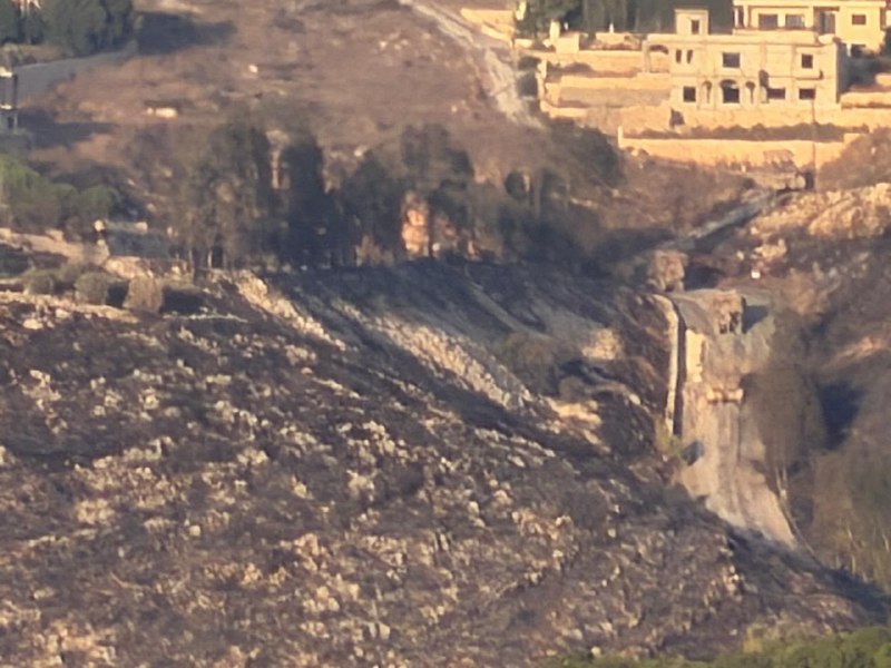 חדשות Aly Rida - Ali Al Reda 🗞️