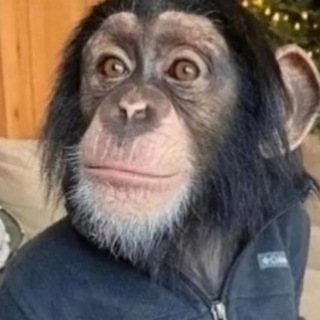 Only чёрный юмор и мемы для еблан0в Telegram Group Link