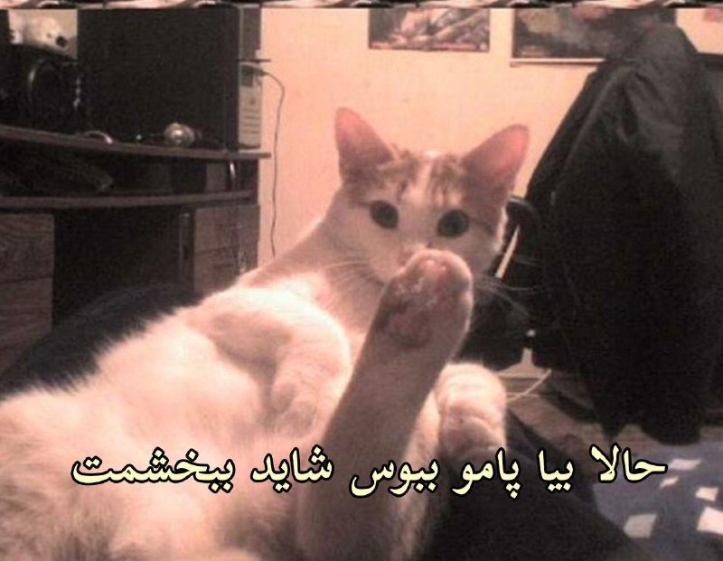 جعفر لوپز: خواهر بزرگم@Jafar_loopez