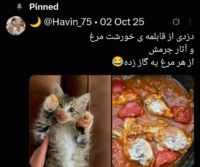 🌞 جوکستان🌞: دزدی از قابلمه خورشت 🐔آثار جرمش پیداست 🤣😁😆🇯‌🇴‌🇮‌🇳 ↯💥 @JOLESTAN 💥 🔚