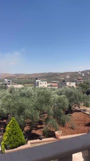 ג'רוזלם ניוז: מתנחלים הציתו אש באדמות תורמוס עיא מצפון לרמאללה