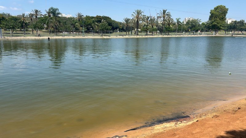 מבזקן 12
