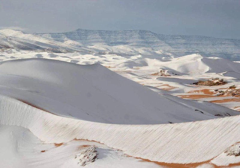 Редчайшее природное явление наблюдали в СахареТуристы и местные жители в городе Айн-Сефра в Алжире наблюдали редчайшее природное явление: заснеженные барханы в Сахаре, крупнейшей пустыне планеты, сообщает The Sun.Снег в Сахаре выпал в седьмой раз за послед