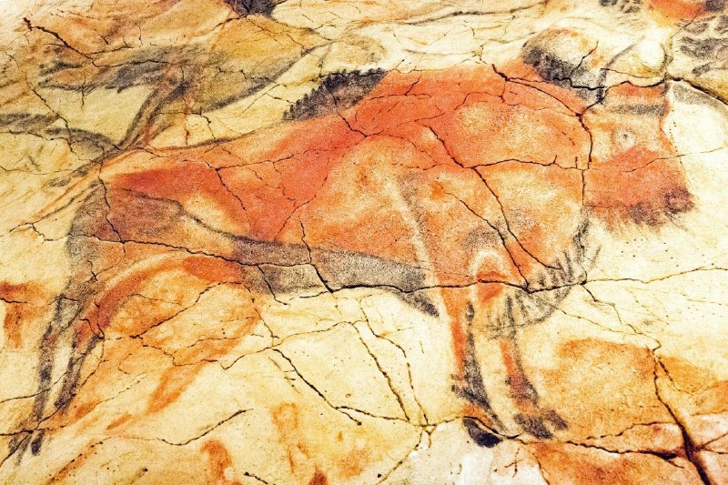انجمن ژنتیک ایران: Can DNA from cave paintings tell us who the artists were?✍پژوهش اخیر در اسپانیاا و پرتغال نشان داد دیوارههای غار میتوا