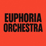 euphoria orchestra