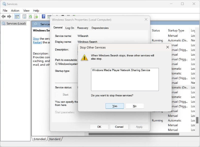 Windows 如果要用 DLAN 一定要启用 Windows Search，这点不是很理解