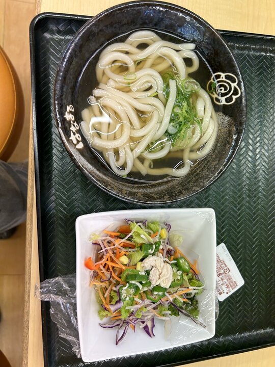 一個人一個月漫遊日本四國(一)香川縣篇