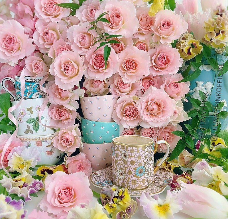 ❤حسـی عـاشقـانـه تـر❤: 🌸سلام بر نگاههایی که 🪴صداقت زینتشان است🌸سلام بـر مهر آدمی که🪴بالاترین سرمایه است 🌸سلام به شما یاران پر مهر🪴صبحتون بخیر