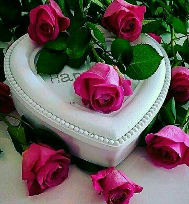 💞قلب های عاشق💞: شهر از بالا زیباست و آدم ها از دور جذاب!فاصله مناسب رو حفظ کنیم تا دوست داشتنی بمونیم...!!!💗