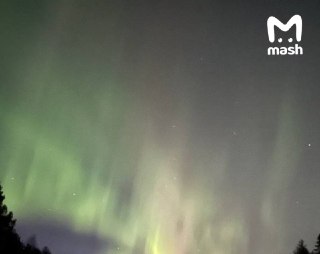 Северное сияние поймали наши подписчики — кадры прилетели из Подмосковья, ЯНАО, ХМАО и Коми. Небо вновь загорелось из-за магнитной бури класса G3. Если тоже словили такую красоту — кидайте в предложку.❗ Не грузятся фото и видео? Читайте нас в MAX.