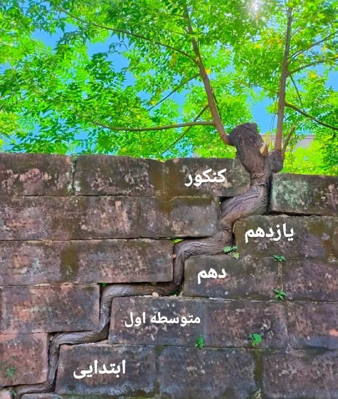 منو درسام 📚: بعد کنکور :📚 @mn_darsam