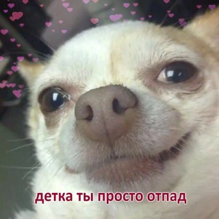 Чат общение и знакомства