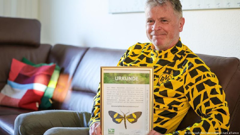 Футбольный фанат назвал бабочку в честь дортмундской "Боруссии"Петер Клаусмайер из Дортмунда стал "крестным" вида черно-желтой бабочки, недавно открытого в тропических лесах в Перу. "Когда я увидел бабочку с такой окраской, мне сразу стало ясно, что у нее 